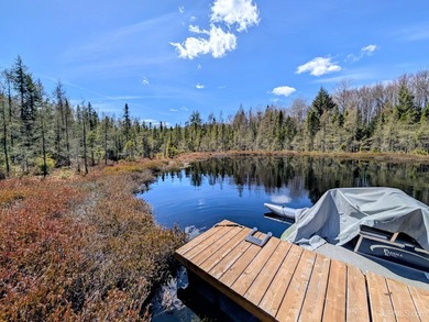 Newly built cabin in the woods....with its own pond. Sitting on - photo 3
