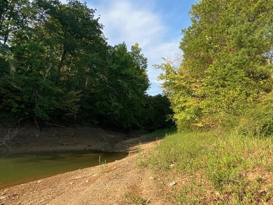 Fantastic building lot in the gated lakeside community of - photo 5