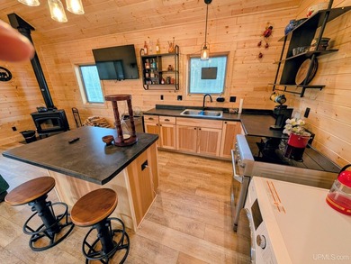 Newly built cabin in the woods....with its own pond. Sitting on - photo 8