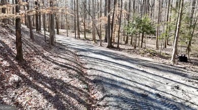 Large private estate lots surrounded by woods & creeks in a park - photo 15