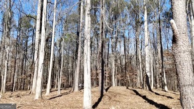 Large private estate lots surrounded by woods & creeks in a park - photo 18