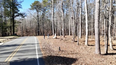 Large private estate lots surrounded by woods & creeks in a park - photo 21