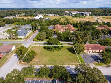 Lake Lot For Sale in Leesburg, Florida