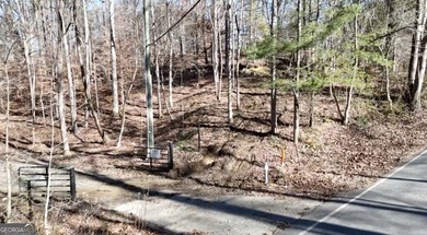 Large private estate lots surrounded by woods & creeks in a park - photo 25