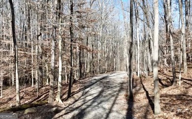 Large private estate lots surrounded by woods & creeks in a park - photo 28