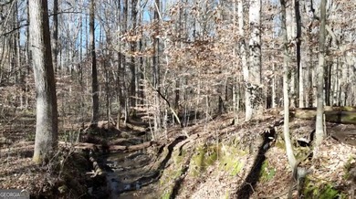 Large private estate lots surrounded by woods & creeks in a park - photo 30