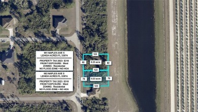 Lehigh Acres Area Lot For Sale in Lehigh Acres Florida