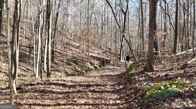 Large private estate lots surrounded by woods & creeks in a park - photo 31