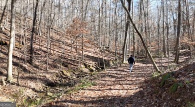 Large private estate lots surrounded by woods & creeks in a park - photo 32