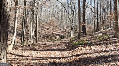 Large private estate lots surrounded by woods & creeks in a park - photo 33