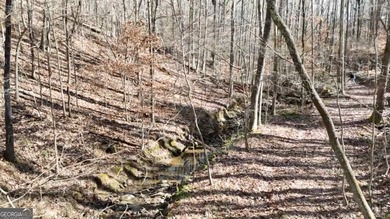Large private estate lots surrounded by woods & creeks in a park - photo 35