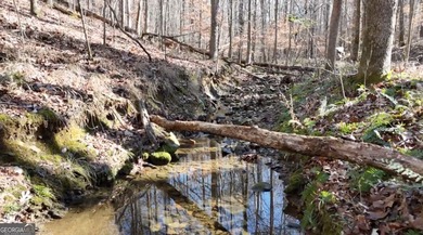 Large private estate lots surrounded by woods & creeks in a park - photo 37