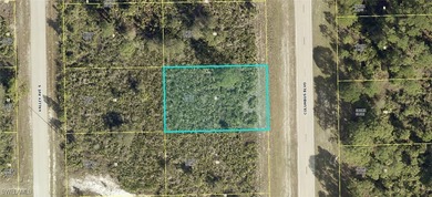 Lehigh Acres Area Lot For Sale in Lehigh Acres Florida