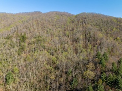 38+/- Acres of Unrestricted Mountain Land - Natural Spring - photo 11