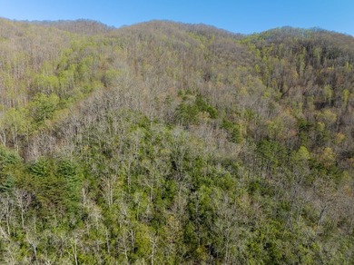 38+/- Acres of Unrestricted Mountain Land - Natural Spring - photo 12