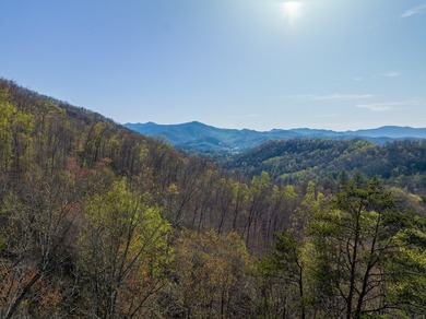 38+/- Acres of Unrestricted Mountain Land - Natural Spring - photo 13