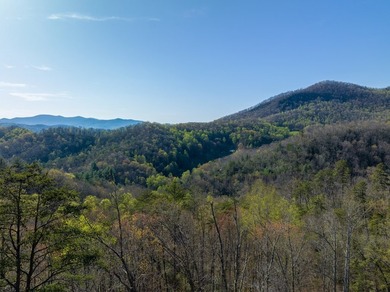 38+/- Acres of Unrestricted Mountain Land - Natural Spring - photo 14