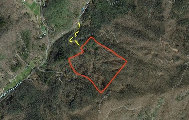 38+/- Acres of Unrestricted Mountain Land - Natural Spring - photo 16