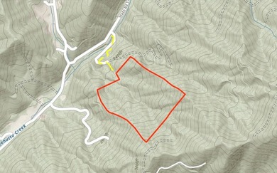 38+/- Acres of Unrestricted Mountain Land - Natural Spring - photo 17