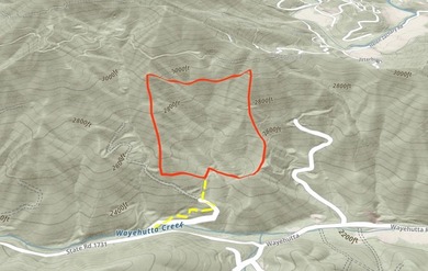 38+/- Acres of Unrestricted Mountain Land - Natural Spring - photo 18