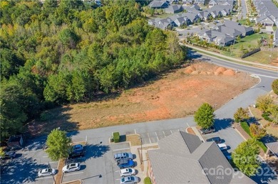 1.1 acre site. Located one lot off of well traveled Catawba Ave - photo 2