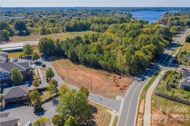 1.1 acre site. Located one lot off of well traveled Catawba Ave - photo 3