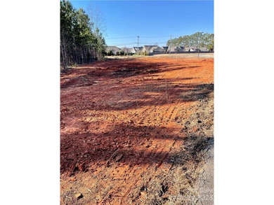 1.1 acre site. Located one lot off of well traveled Catawba Ave - photo 4