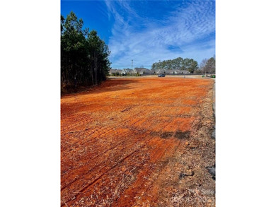 1.1 acre site. Located one lot off of well traveled Catawba Ave - photo 5