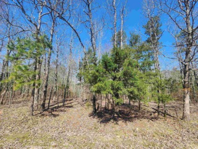 Lake Lot For Sale in Searcy, Arkansas