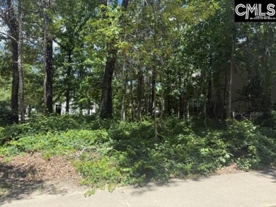 Lake Lot For Sale in Columbia, South Carolina