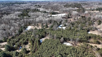 (private lake, pond, creek) Acreage For Sale in Tustin Michigan