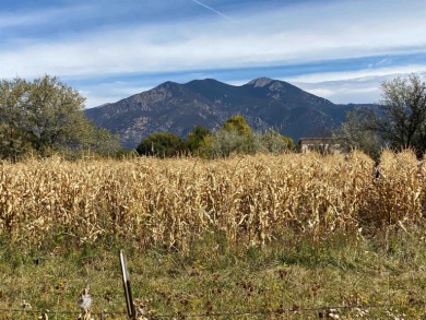 Lake Acreage For Sale in Taos, New Mexico
