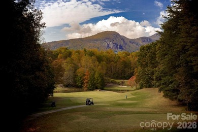 LAKE LURE........Great Mountain Views from this estate sized 1.5 - photo 12