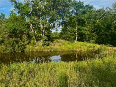 Lake Lot For Sale in Athens, Texas