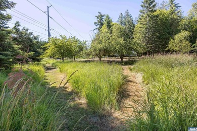 Check out this Rare Development Opportunity in the Heart of - photo 28
