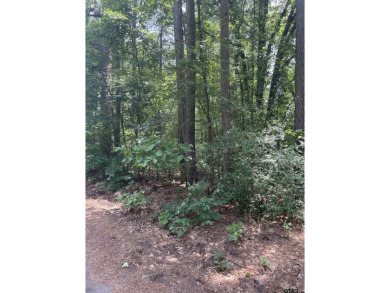 Lake Acreage For Sale in Ore City, Texas