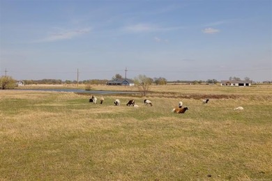 Conveniently situated just off Alternate Hwy 75, this beautiful - photo 34