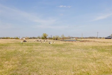 Conveniently situated just off Alternate Hwy 75, this beautiful - photo 40