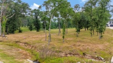 Cedar Creek Lake Lot For Sale in Mabank Texas