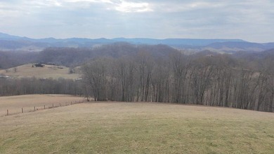 (private lake, pond, coastal) Acreage For Sale in Honaker Virginia