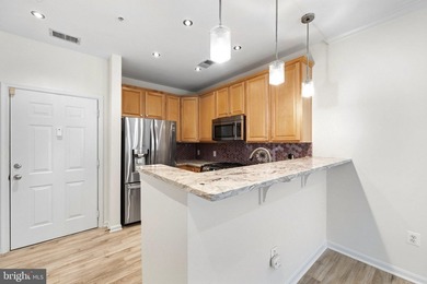 Stunning top-floor 2BR condo with elevator access and serene - photo 14