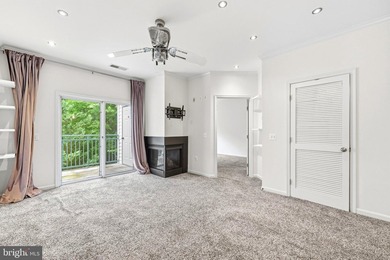 Stunning top-floor 2BR condo with elevator access and serene - photo 16
