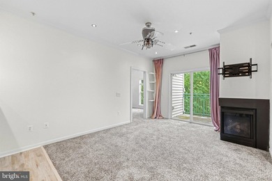 Stunning top-floor 2BR condo with elevator access and serene - photo 17
