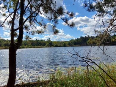 Curtis Lake Lot For Sale in Minocqua Wisconsin