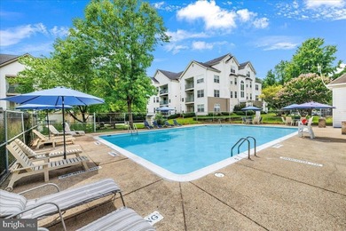 Stunning top-floor 2BR condo with elevator access and serene - photo 39