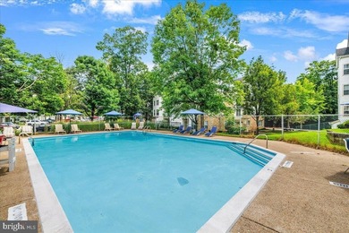 Stunning top-floor 2BR condo with elevator access and serene - photo 40