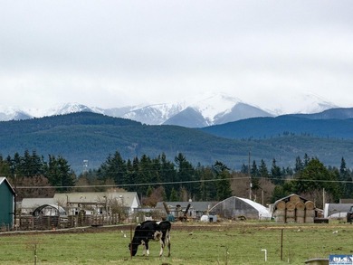 Prepare to be captivated by this stunning property in Agnew - photo 47
