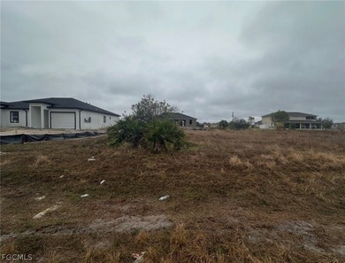 Lehigh Acres Area Lot For Sale in Lehigh Acres Florida