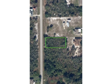 Lake Istokpoga Lot For Sale in Lake Placid Florida