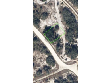 Lake Grassy Lot For Sale in Lake Placid Florida